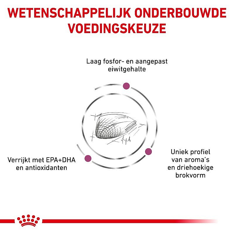 Royal Canin Renal Special Kat