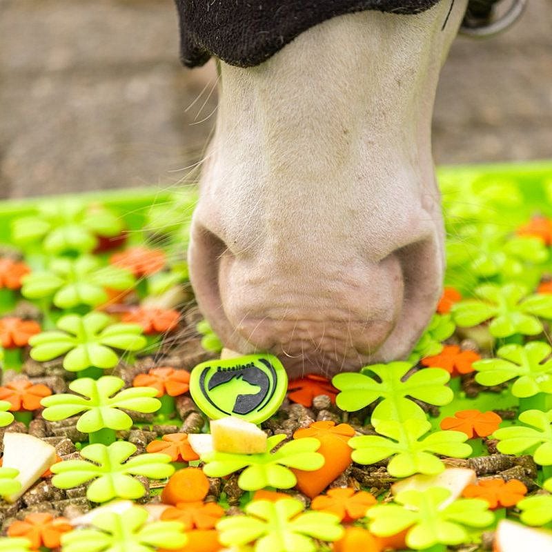 Excellent Snuffelmat Paard