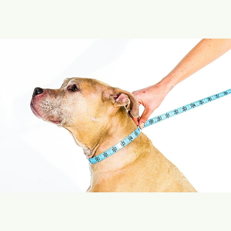 Comfy Cone Hondenkraag X-Small - Zwart