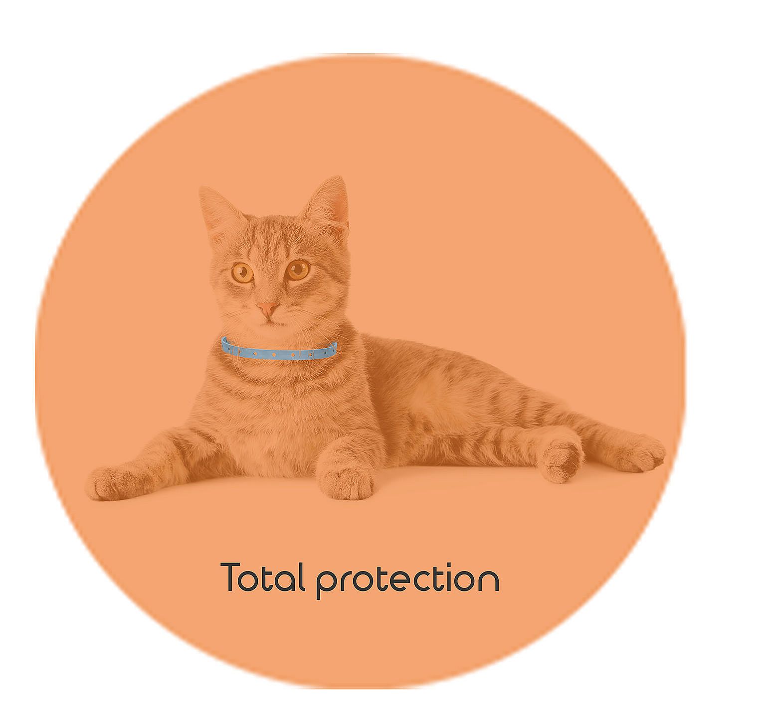 Knock Pest Vlooien/Tekenband Kat - 35 cm