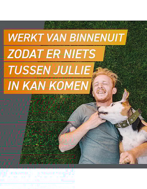 Frontpro Vlo Teek Kauwtablet Hond