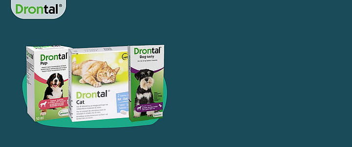 droltals, kat voeding, hondenvoer, pakket box, draagt verpakking