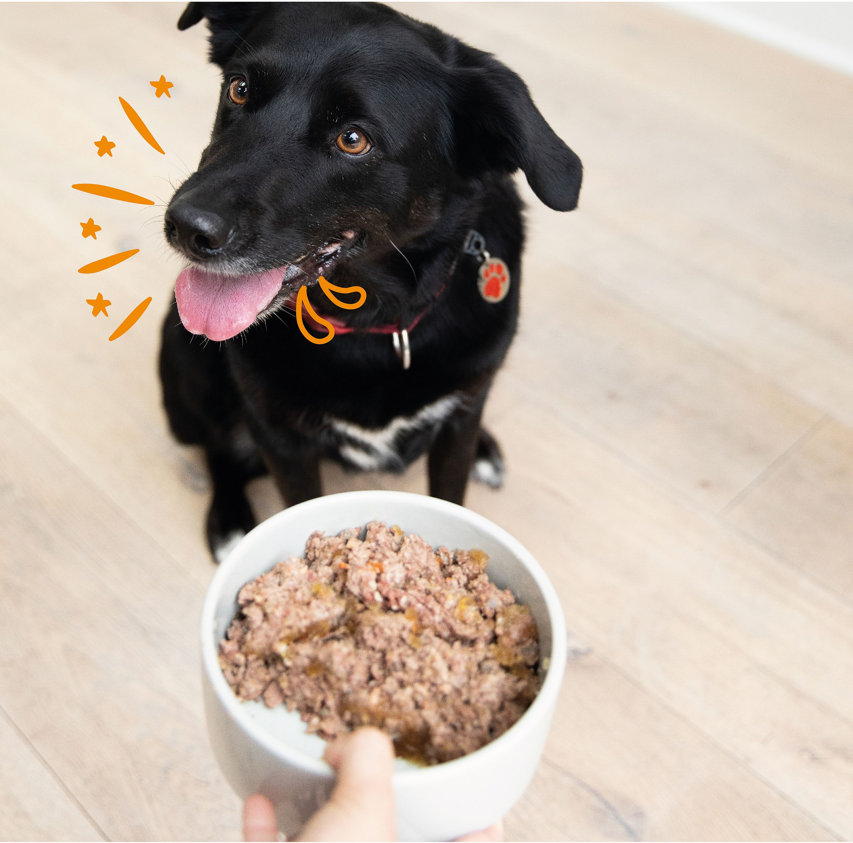 Edgard & Cooper Multipack Kip en Lam Hond Adult 4 x 300 gram