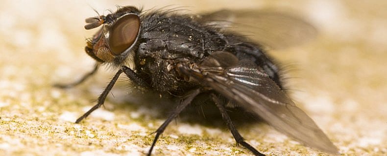 b72e9b5c00fbde8c903a6f42f1fec6dd