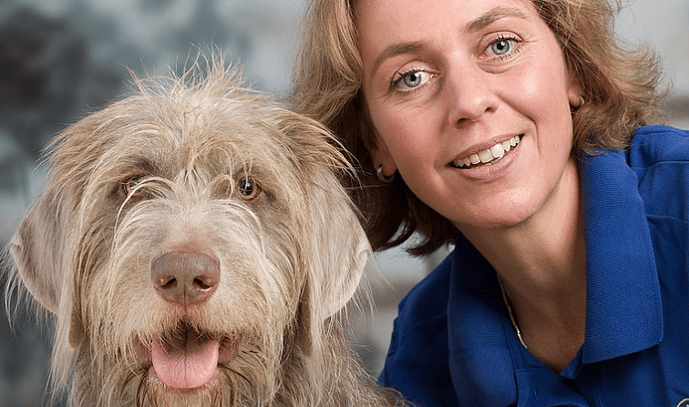 Voeding van de hond; wat is belangrijk?