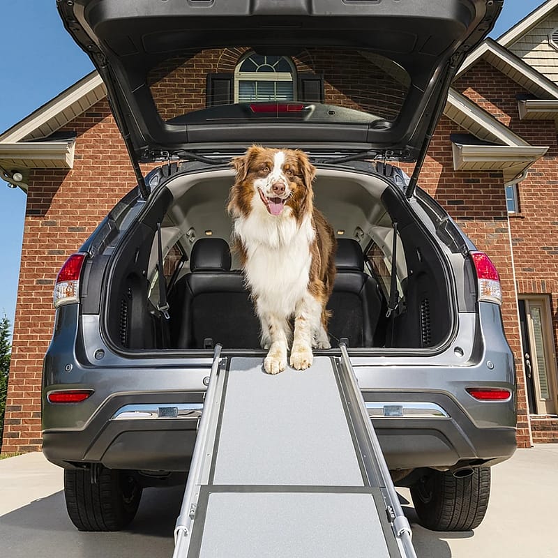PetSafe Happy Ride Telescoping Dog Ramp Luxe loopplank voor honden Dog Ramp 100 - 180 cm