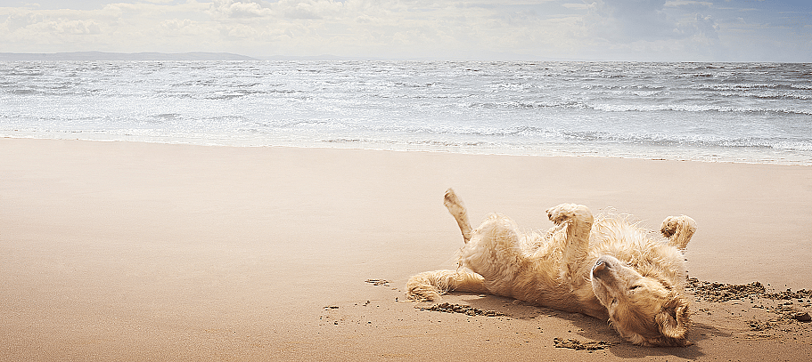 a6e96155257b686a8063a6253c3a634f