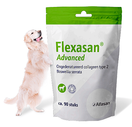 Flexasan Gewrichten Hond 90 Chews