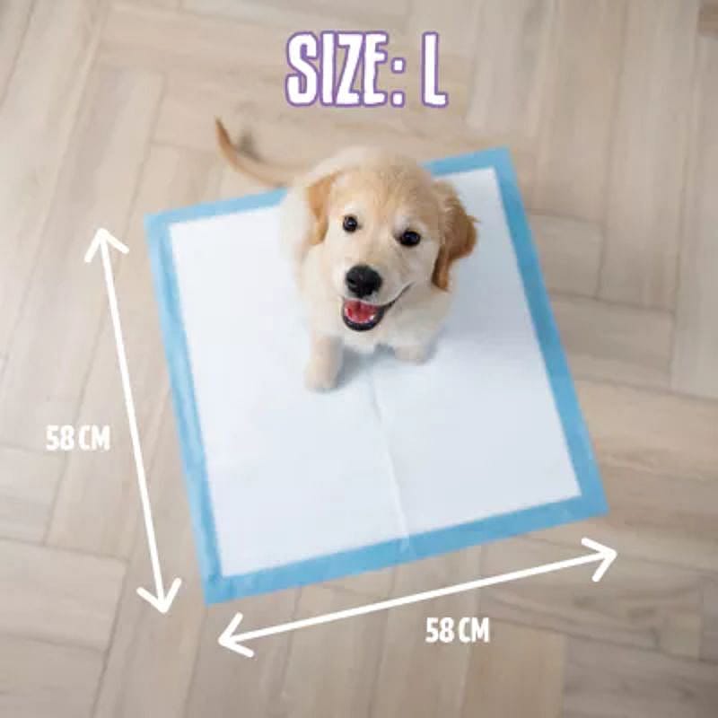 EasyPets Puppy Training Pads 58 x 58 cm Puppy