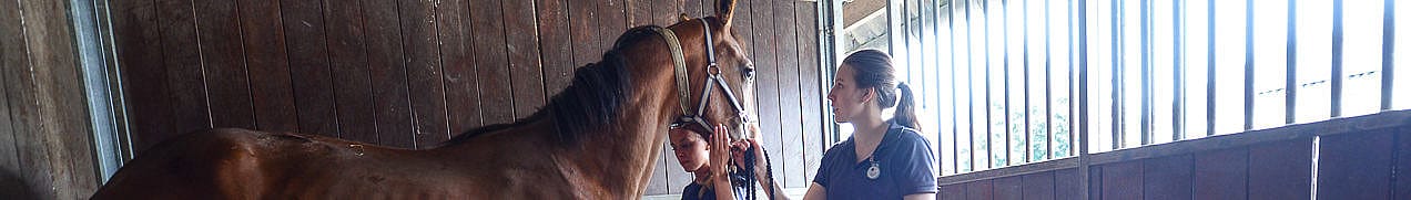 2d21f49f9452f43ee1016455c9fca4cd