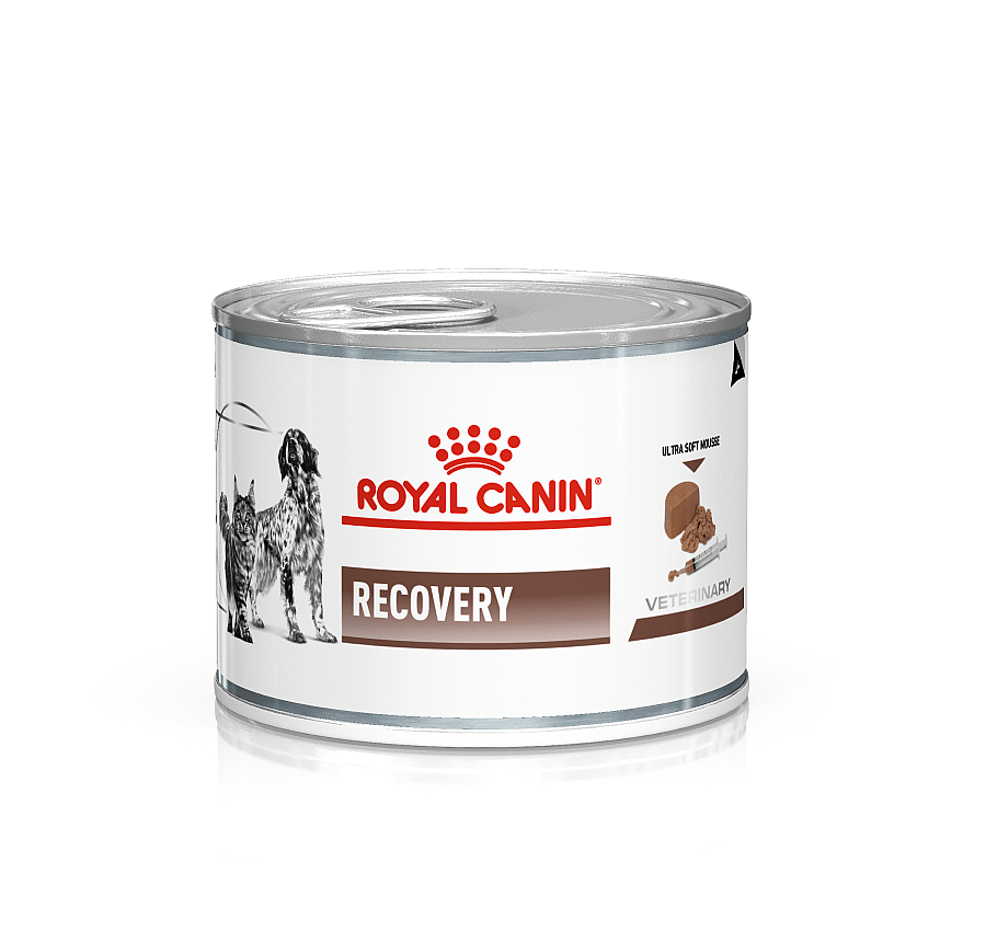 Royal Canin Recovery 12 x 195 gram