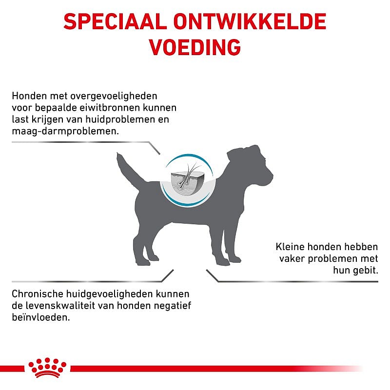 Royal Canin Anallergenic Small Dog