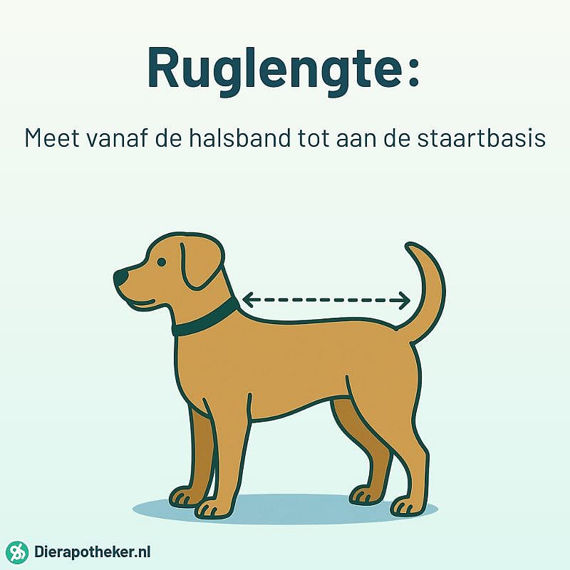 K9 Sport Sack® Air 2 Rugzak Hond