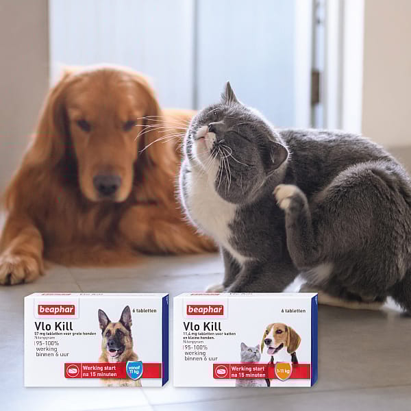Beaphar Vlo Kill Hond en Kat tot 11 kg - 6 tabletten