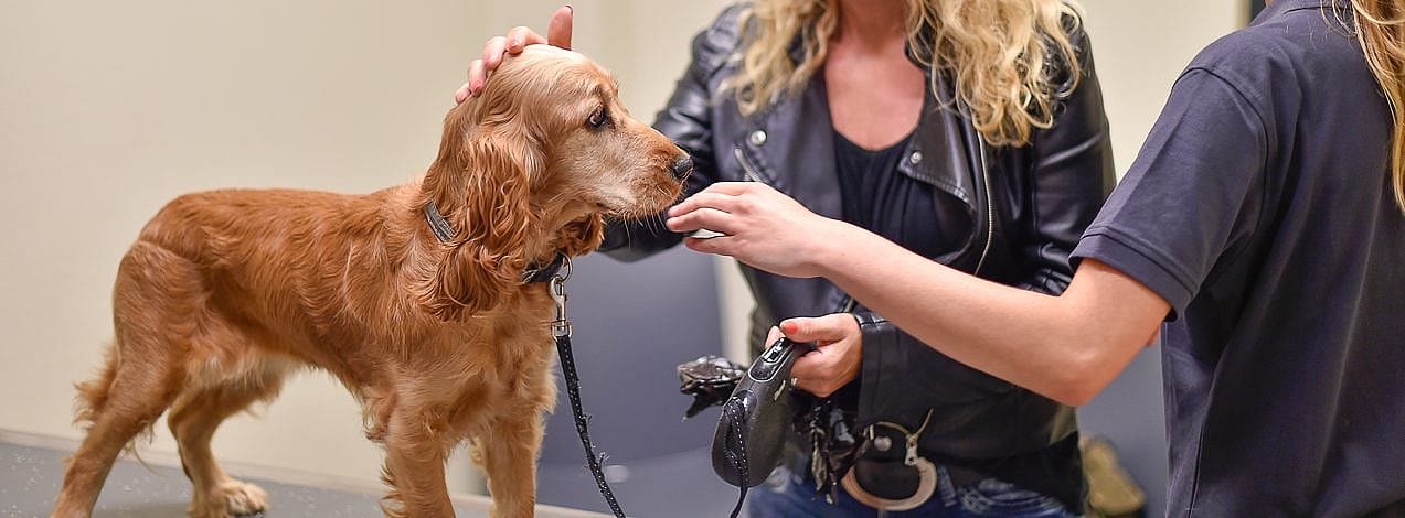 86c2ab983bdeabccaea3289162c0b89d