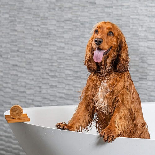 Happy Soaps Honden Shampoo Bar Korte vacht