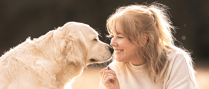 d6fd67d7dc40da60dcd92ec6a63dbef9