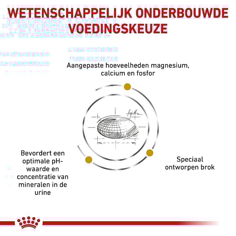 Royal Canin Urinary S/O Small Dog