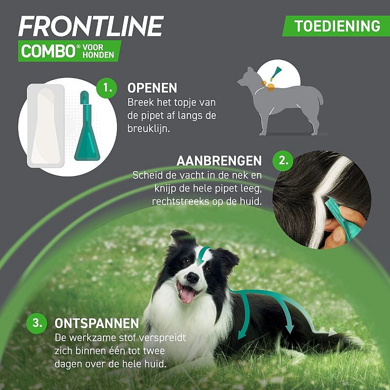 Advertentie, Poster, Hond, Zoogdier, Huisdier, Advertentie, Poster, Hond, Zoogdier, Huisdier, Advertentie, Poster, Hond, Zoogdier, Huisdier, Advertentie, Poster, Hond, Zoogdier, Huisdier, Advertentie, Poster, Hond, Zoogdier, Huisdier