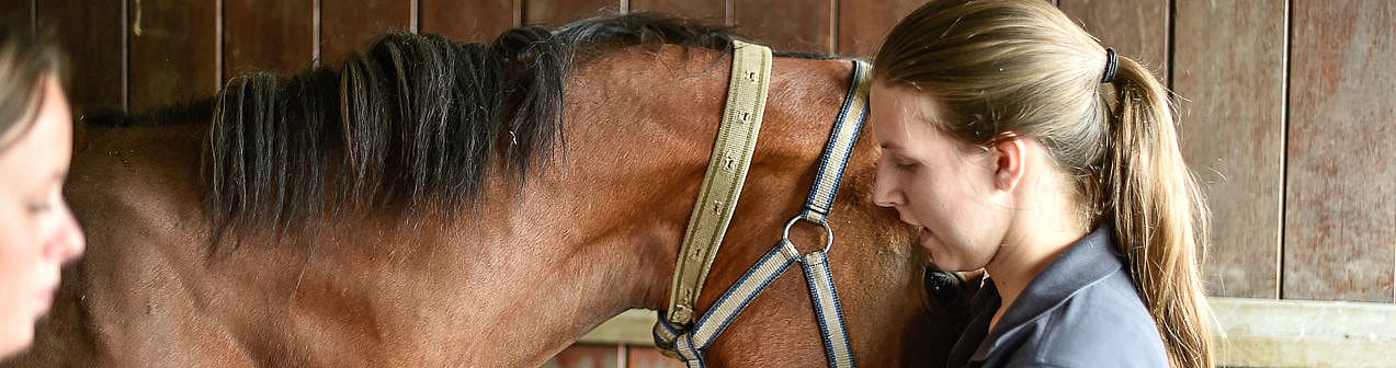 d0a669eaf102f29f2b9f976e5d6196f3