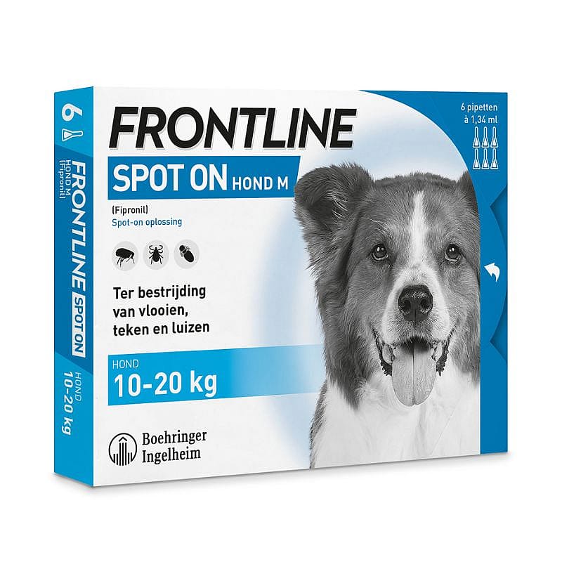 Dier, Hondje, Hond, Zoogdier, Huisdier, Dier, Hondje, Hond, Zoogdier, Huisdier, Dier, Hondje, Hond, Zoogdier, Huisdier, Dier, Hondje, Hond, Zoogdier, Huisdier