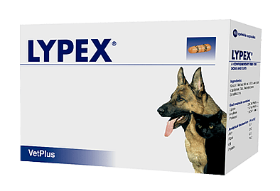 Vetplus Lypex Alvleesklier Hond Kat 60 capsules