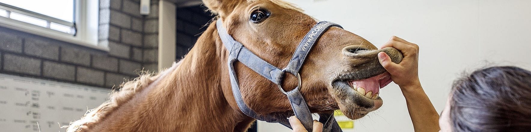 3eb338439d62e15531b751a0a068791b