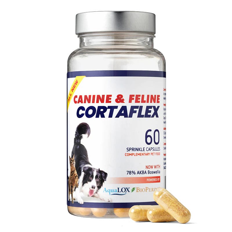 Cortaflex Canine & Feline Hond Kat 60 capsules