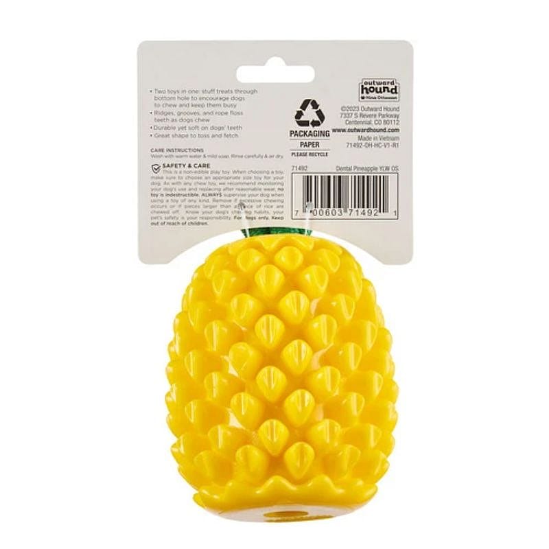 Outward Dental Pineapple Hond