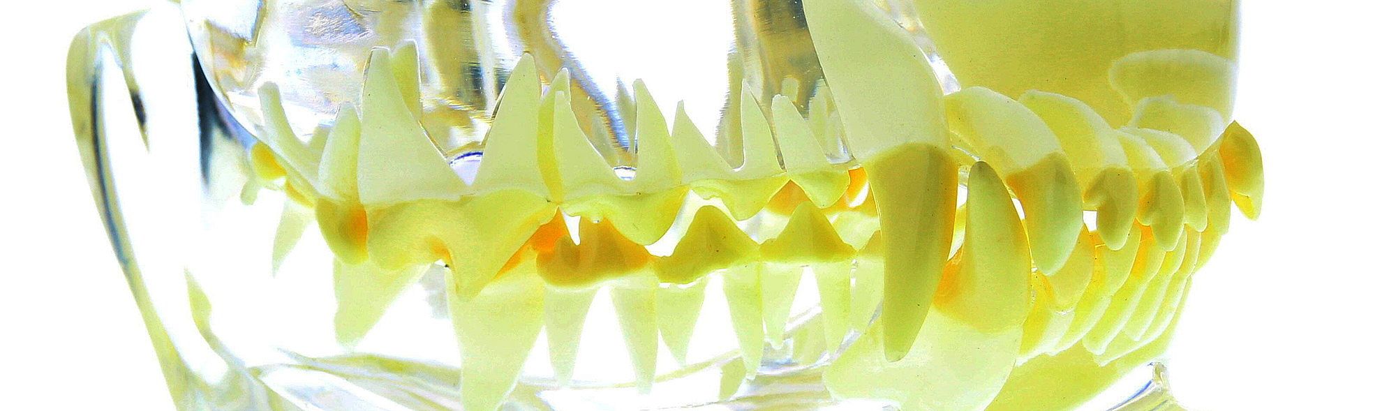 8a537225cbd25888c33776a6dc564006