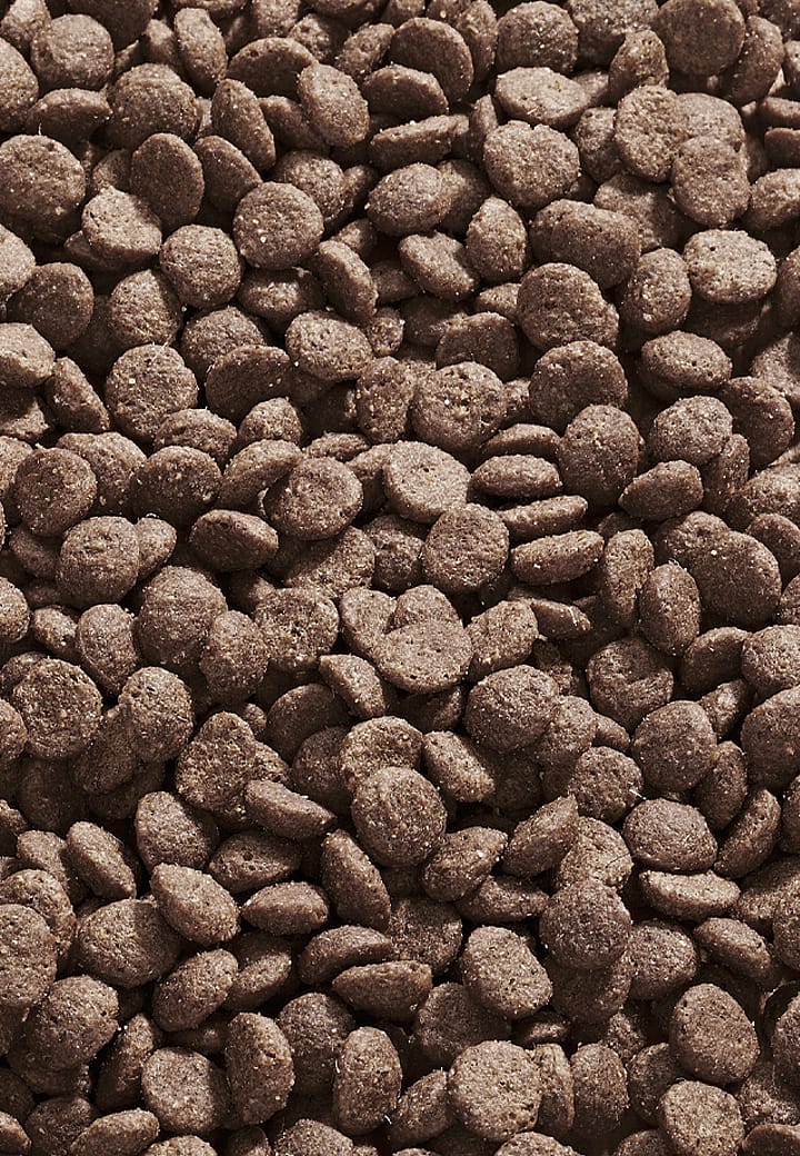 Vet-Concept Intestinal Low Fat Kattenvoer