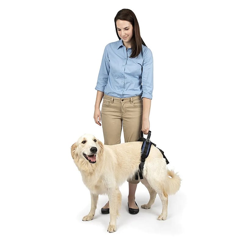 Carelift Hondentuig Achter Maat Large