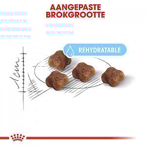 Royal Canin Mother & Babycat