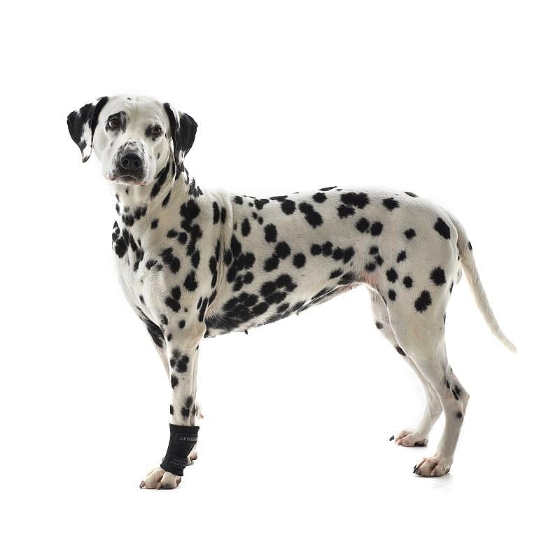 Kruuse Rehab Knee Protector