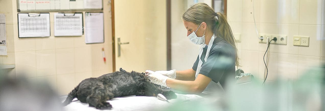 86e43240f1485d710b93c9802dc42c09