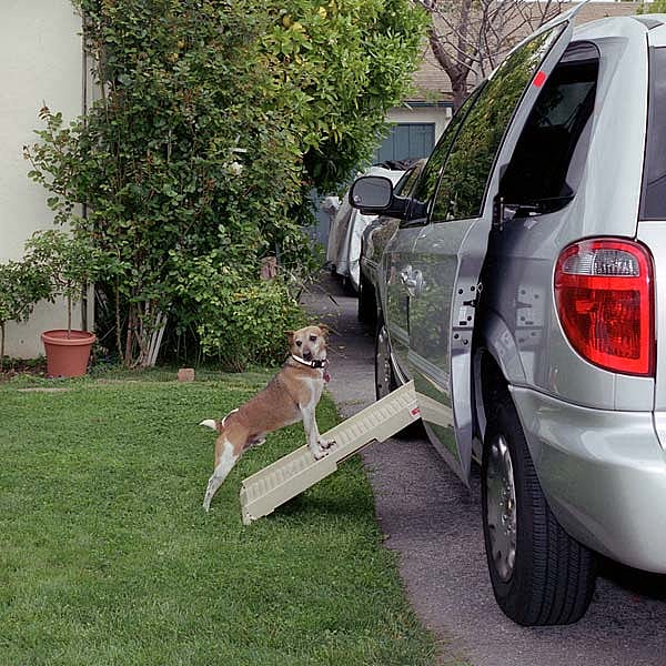 Halfstep Honden Loopplank Beige