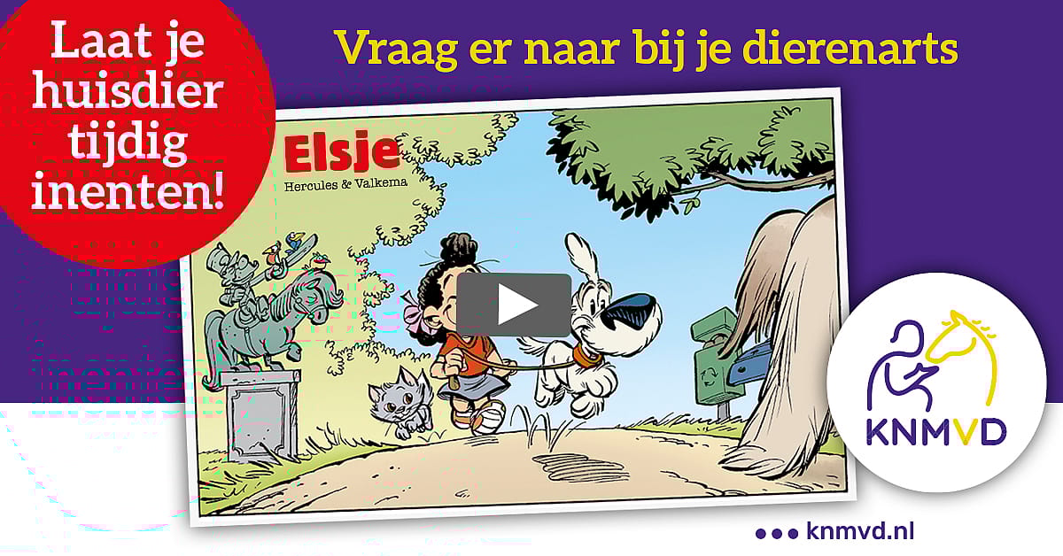 47aff68921d85812620344419fd5091f