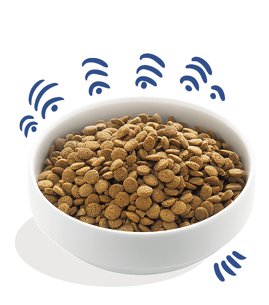 Edgard & Cooper Adult Hondenvoer Verse Noorse Zalm 700 gram