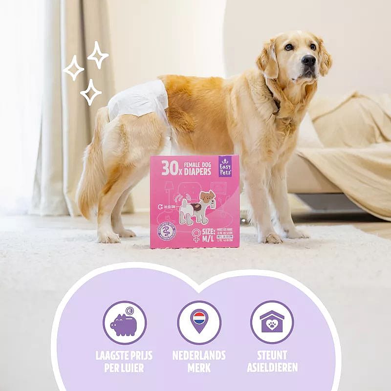 dog, diapers, pink box, absorbent, household pet care