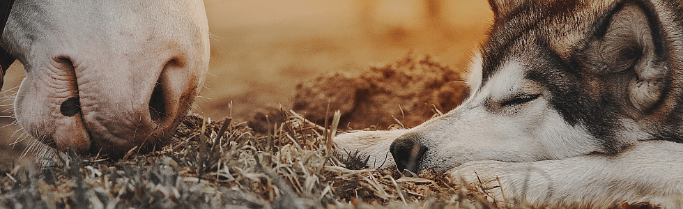 ebbe9d9e12e454f59051260cef00c3d8