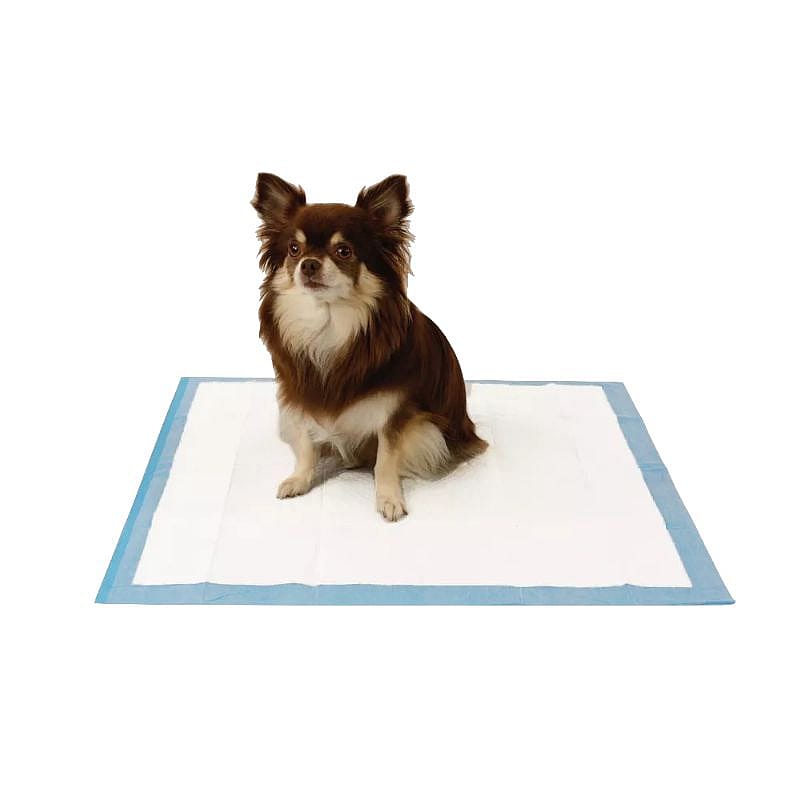 EasyPets Puppy Training Pads 58 x 58 cm Puppy