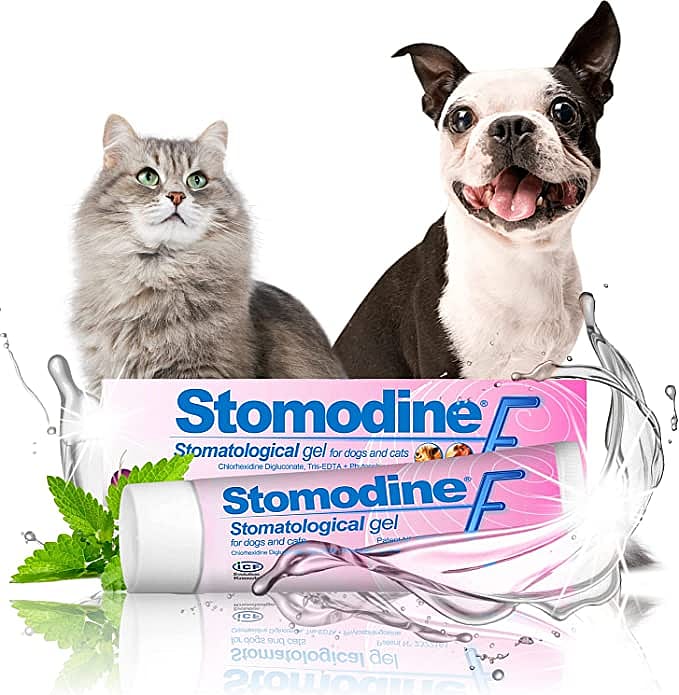 Stomodine F Mond Gel Hond Kat 30 ml