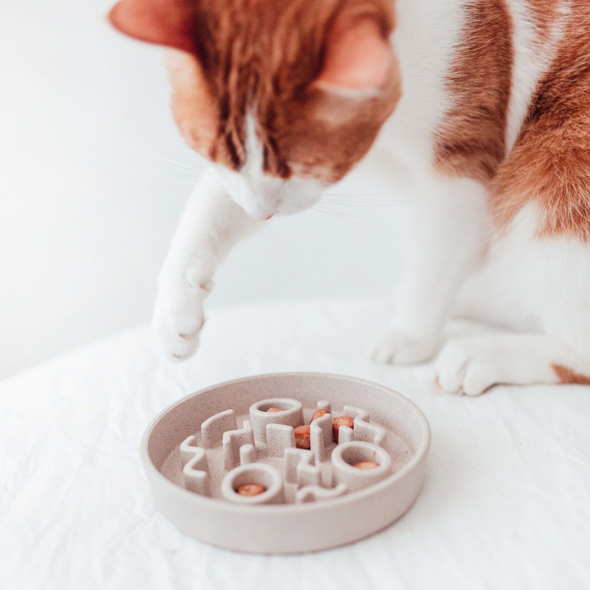 District 70 Bamboo Anti-schrok Voerbak Kat Merengue