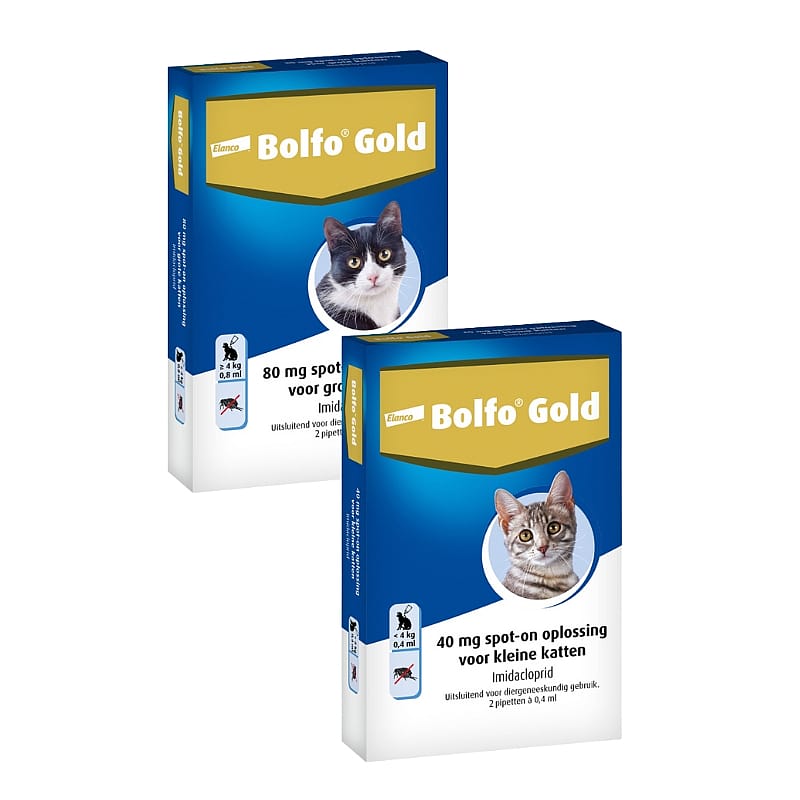 Bolfo Gold Kat Vanaf 4 kg - 2 pipetten - 80 mg