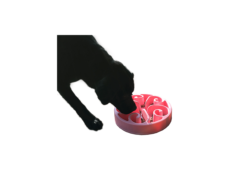 Eat Slow Live Longer Feeder Hond