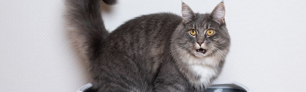 47e5f847690ac04fa4595c978b3c04d1