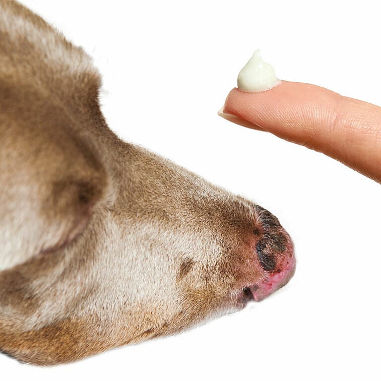 Maxani SunCare Dier 30 ml