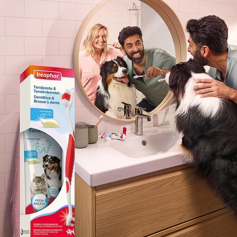 Beaphar Tandpasta en Tandenborstel 1 set