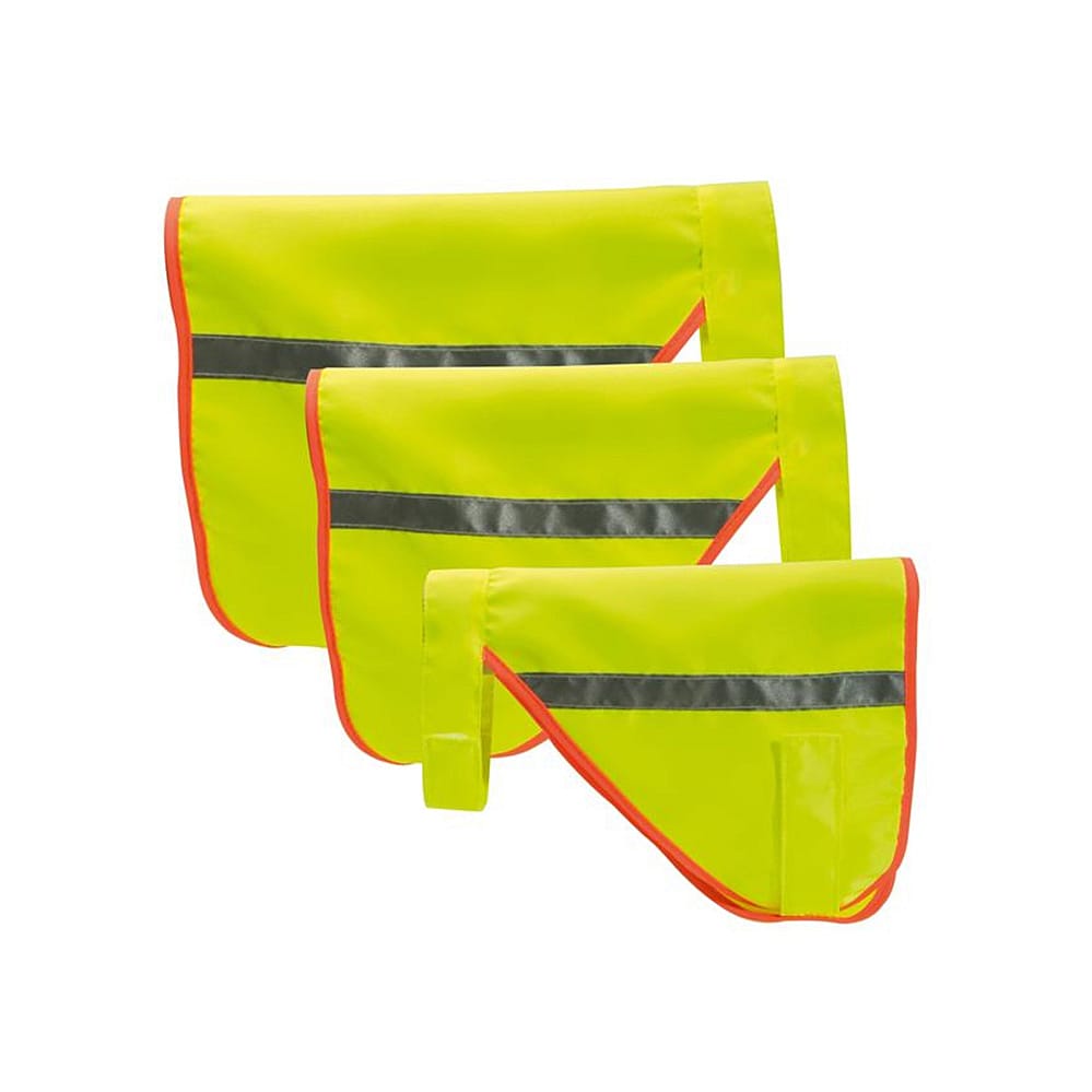 Reflectie Hesje Buster Hond