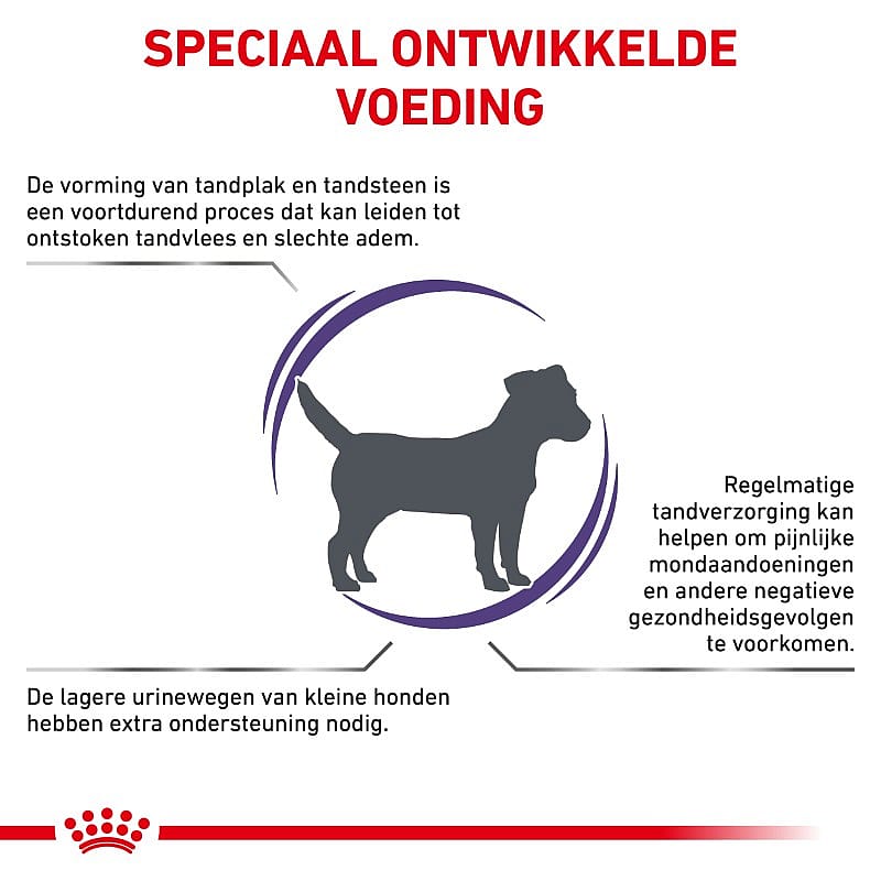 Royal Canin Dental Small Dog 1.5 kg